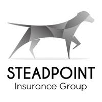 Steadpoint Insurance